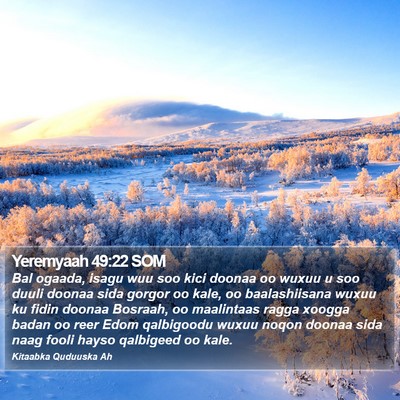 Yeremyaah 49:22 SOM Bible Verse Image