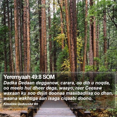 Yeremyaah 49:8 SOM Bible Verse Image