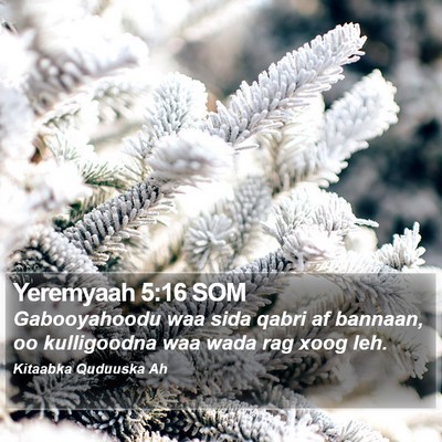 Yeremyaah 5:16 SOM Bible Verse Image