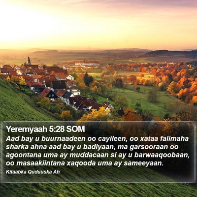 Yeremyaah 5:28 SOM Bible Verse Image