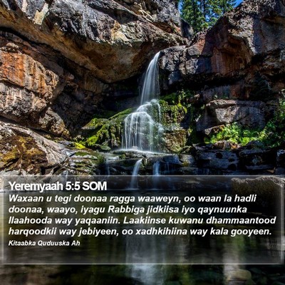 Yeremyaah 5:5 SOM Bible Verse Image