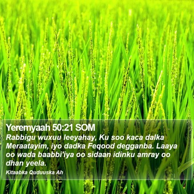 Yeremyaah 50:21 SOM Bible Verse Image