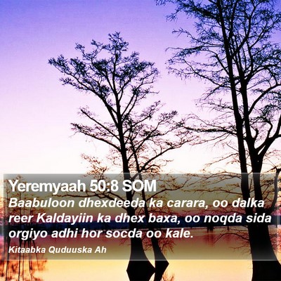 Yeremyaah 50:8 SOM Bible Verse Image