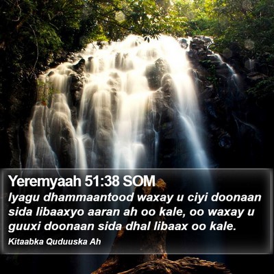 Yeremyaah 51:38 SOM Bible Verse Image