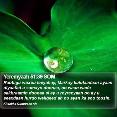 Yeremyaah 51:39 SOM Bible Verse Image