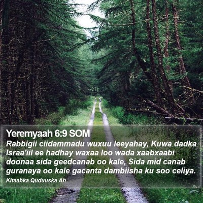 Yeremyaah 6:9 SOM Bible Verse Image