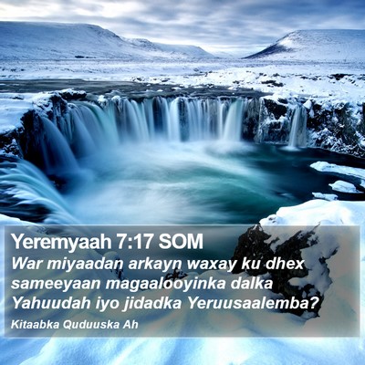 Yeremyaah 7:17 SOM Bible Verse Image