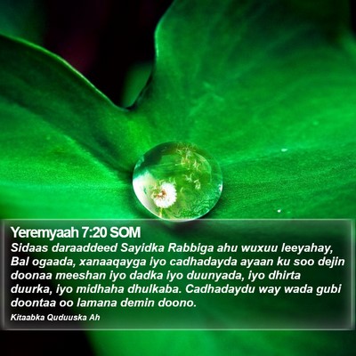 Yeremyaah 7:20 SOM Bible Verse Image