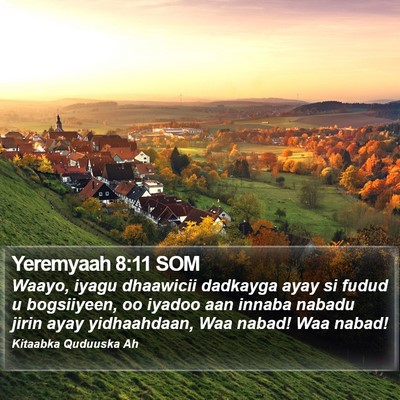 Yeremyaah 8:11 SOM Bible Verse Image