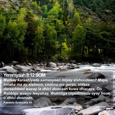 Yeremyaah 8:12 SOM Bible Verse Image