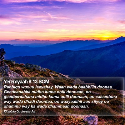 Yeremyaah 8:13 SOM Bible Verse Image