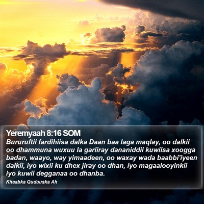 Yeremyaah 8:16 SOM Bible Verse Image