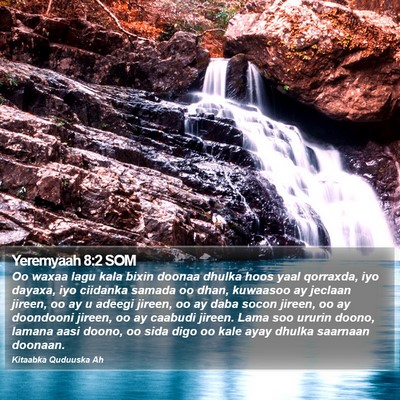 Yeremyaah 8:2 SOM Bible Verse Image