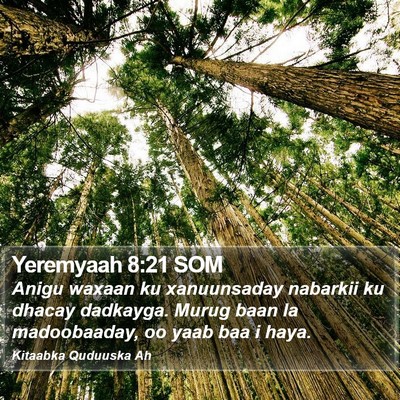 Yeremyaah 8:21 SOM Bible Verse Image