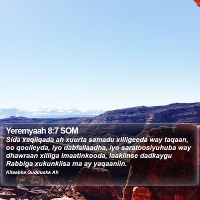 Yeremyaah 8:7 SOM Bible Verse Image