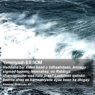 Yeremyaah 8:8 SOM Bible Verse Image