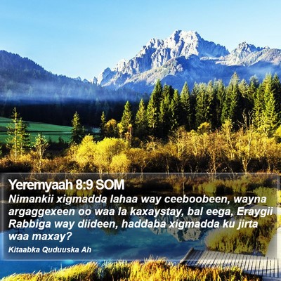Yeremyaah 8:9 SOM Bible Verse Image