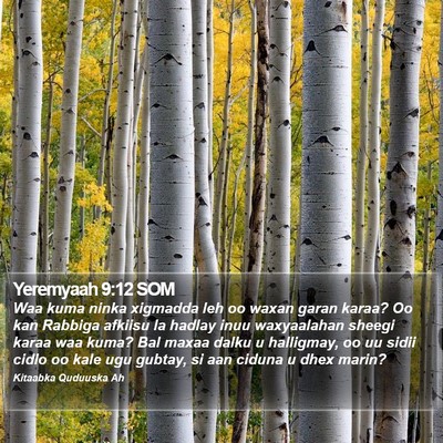 Yeremyaah 9:12 SOM Bible Verse Image