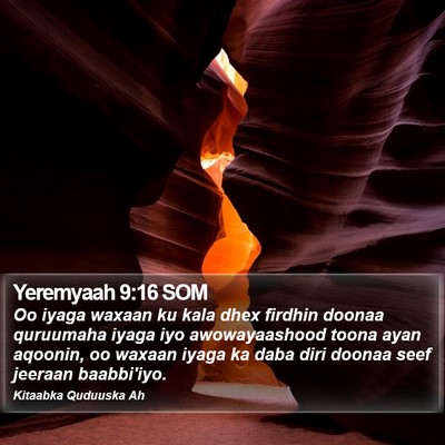 Yeremyaah 9:16 SOM Bible Verse Image