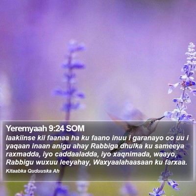 Yeremyaah 9:24 SOM Bible Verse Image