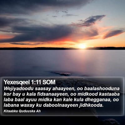 Yexesqeel 1:11 SOM Bible Verse Image
