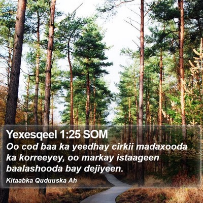 Yexesqeel 1:25 SOM Bible Verse Image