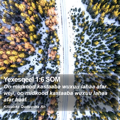Yexesqeel 1:6 SOM Bible Verse Image
