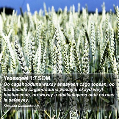 Yexesqeel 1:7 SOM Bible Verse Image