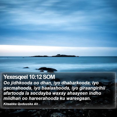 Yexesqeel 10:12 SOM Bible Verse Image