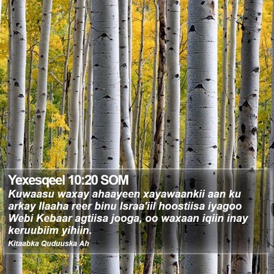 Yexesqeel 10:20 SOM Bible Verse Image