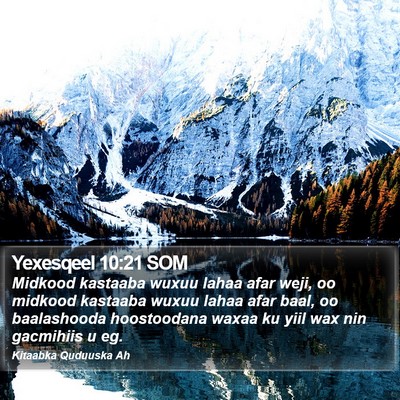 Yexesqeel 10:21 SOM Bible Verse Image