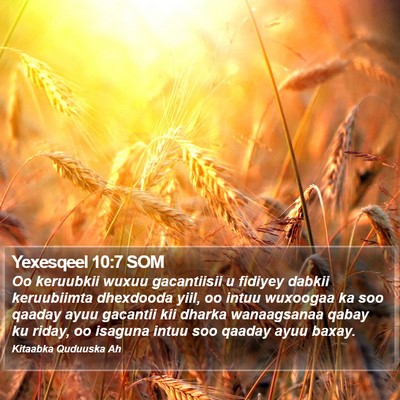 Yexesqeel 10:7 SOM Bible Verse Image