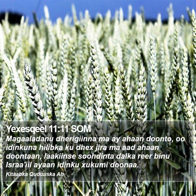 Yexesqeel 11:11 SOM Bible Verse Image