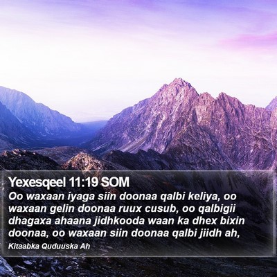 Yexesqeel 11:19 SOM Bible Verse Image