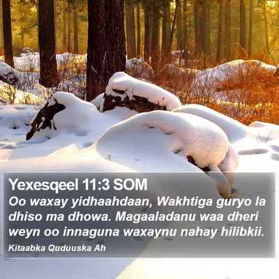 Yexesqeel 11:3 SOM Bible Verse Image