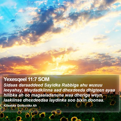 Yexesqeel 11:7 SOM Bible Verse Image