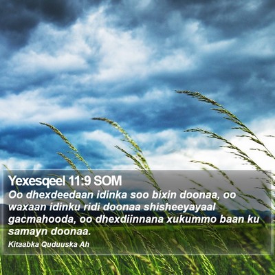 Yexesqeel 11:9 SOM Bible Verse Image