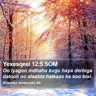 Yexesqeel 12:5 SOM Bible Verse Image