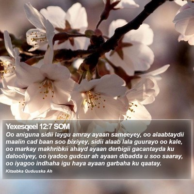 Yexesqeel 12:7 SOM Bible Verse Image