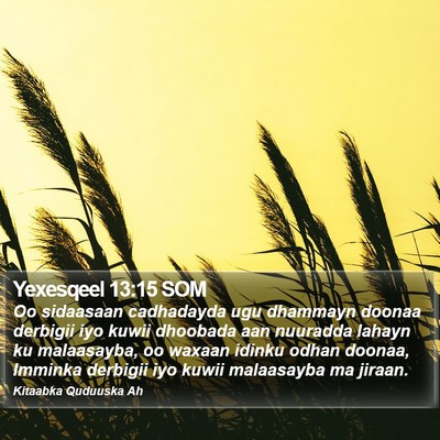 Yexesqeel 13:15 SOM Bible Verse Image