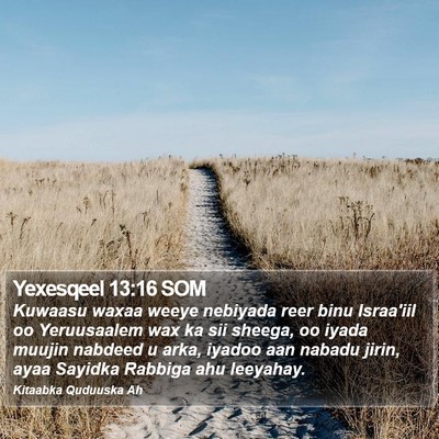 Yexesqeel 13:16 SOM Bible Verse Image