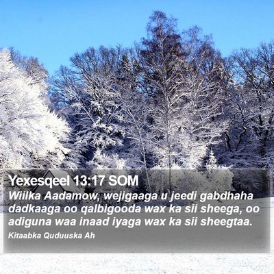 Yexesqeel 13:17 SOM Bible Verse Image