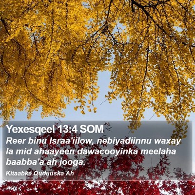 Yexesqeel 13:4 SOM Bible Verse Image