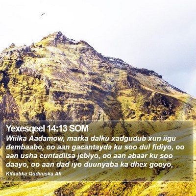 Yexesqeel 14:13 SOM Bible Verse Image