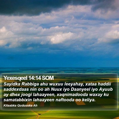 Yexesqeel 14:14 SOM Bible Verse Image