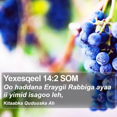 Yexesqeel 14:2 SOM Bible Verse Image