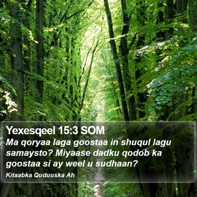 Yexesqeel 15:3 SOM Bible Verse Image