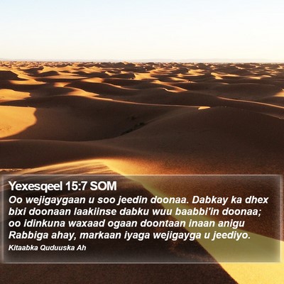 Yexesqeel 15:7 SOM Bible Verse Image