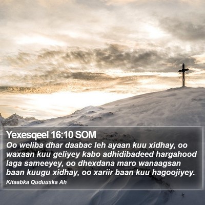 Yexesqeel 16:10 SOM Bible Verse Image