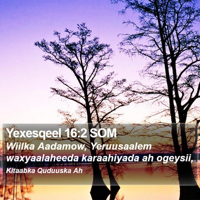 Yexesqeel 16:2 SOM Bible Verse Image